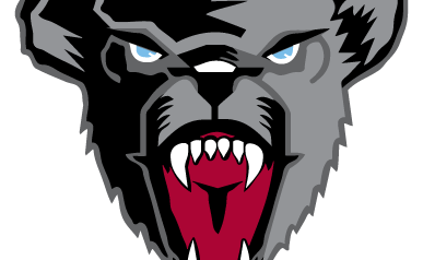 UMaine Black Bear head icon