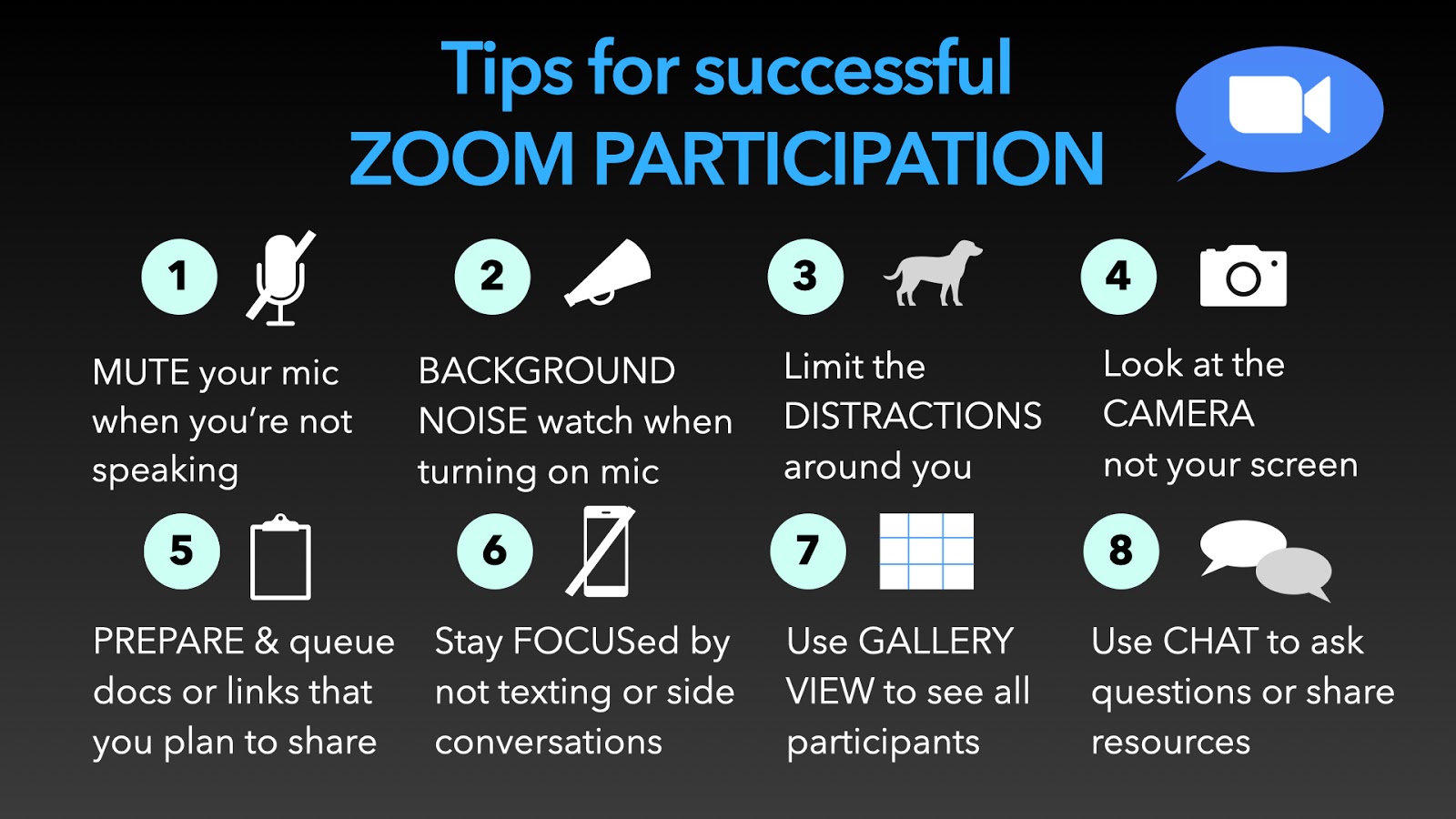 Infographic 3: Tips for Successful Zoom Participation. Text-only description in the link below the inforgraphic.