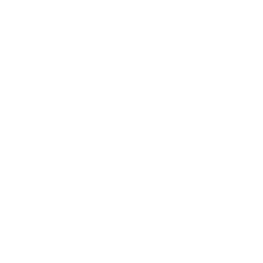 Computer icon representing program format