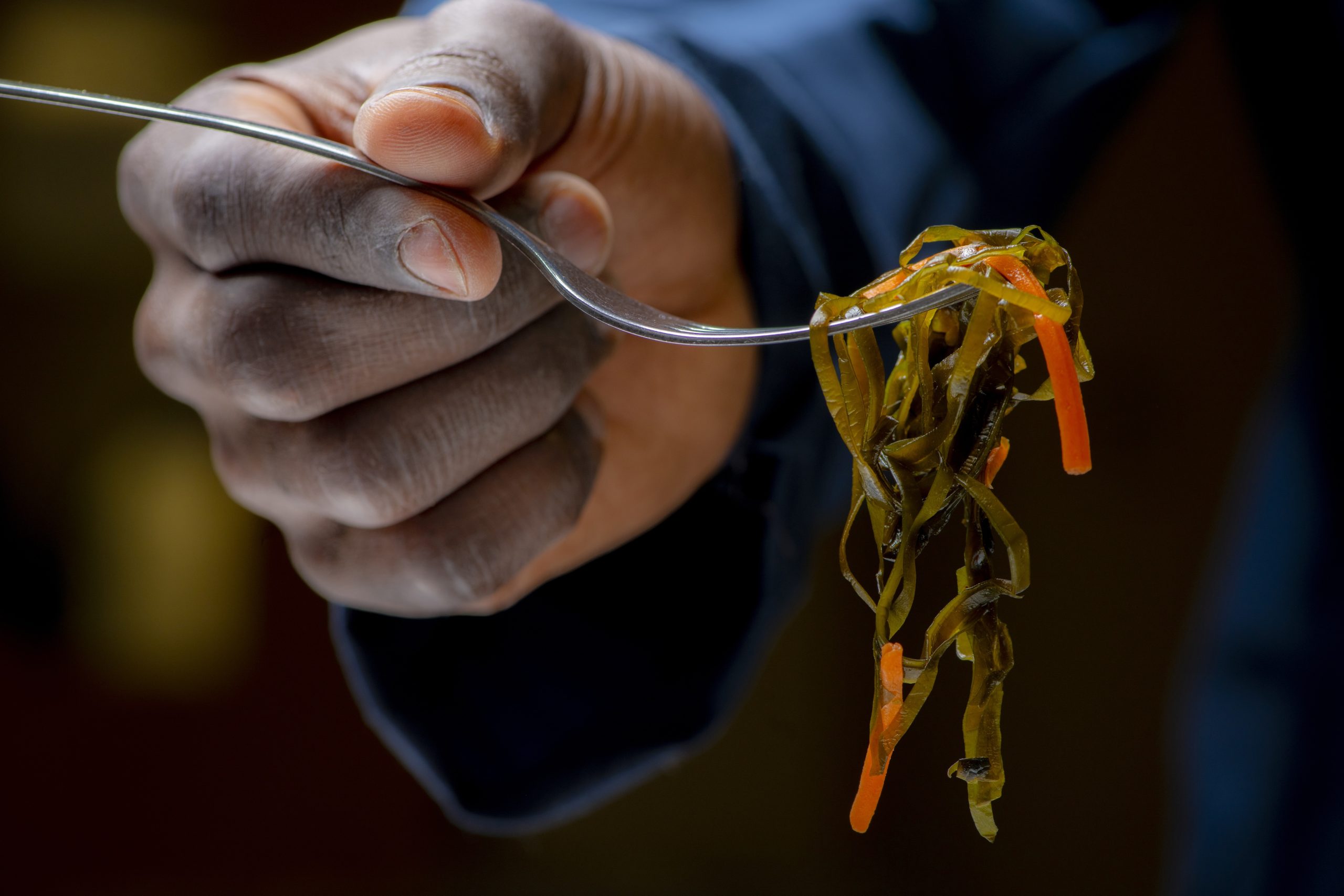 Seaweed salad on a fork