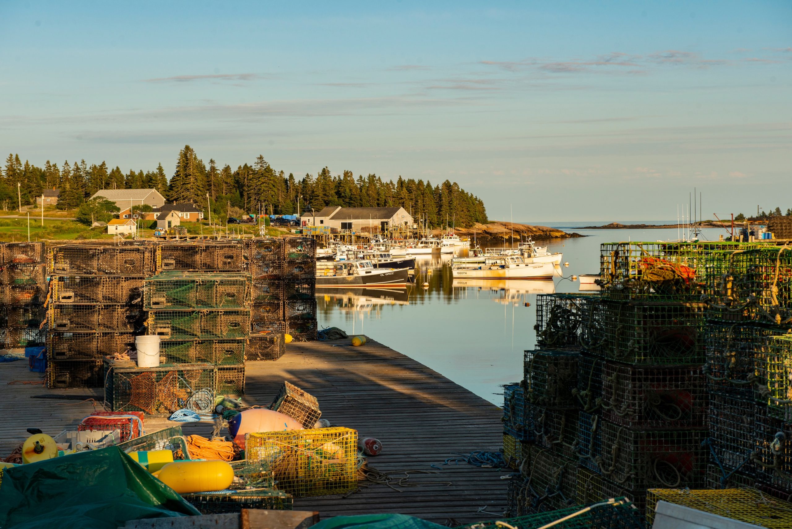 Maine harbor